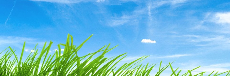 JamisonGolf's profile banner image