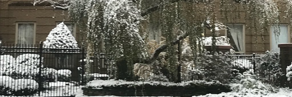 AustinSprings's profile banner image