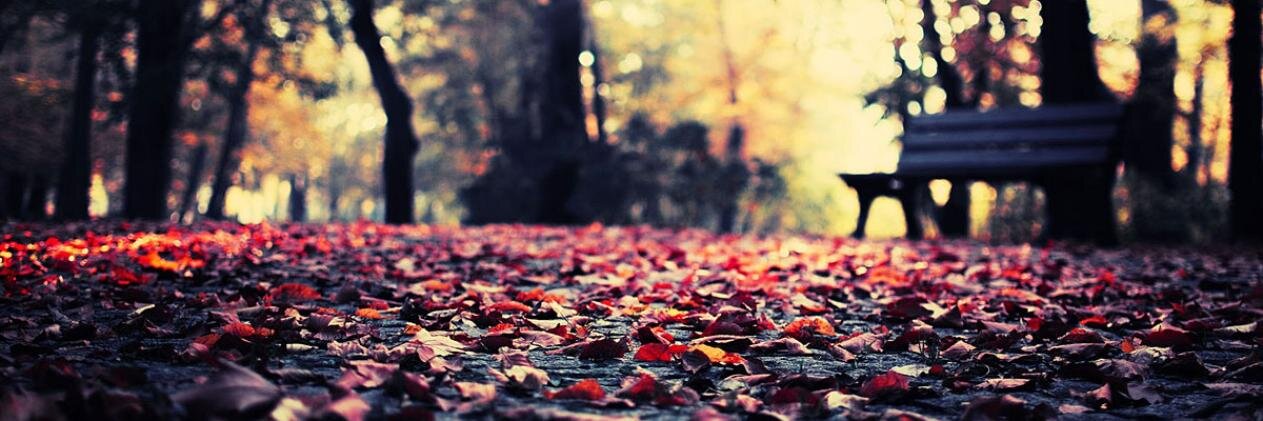 DanielHerreraa's profile banner image