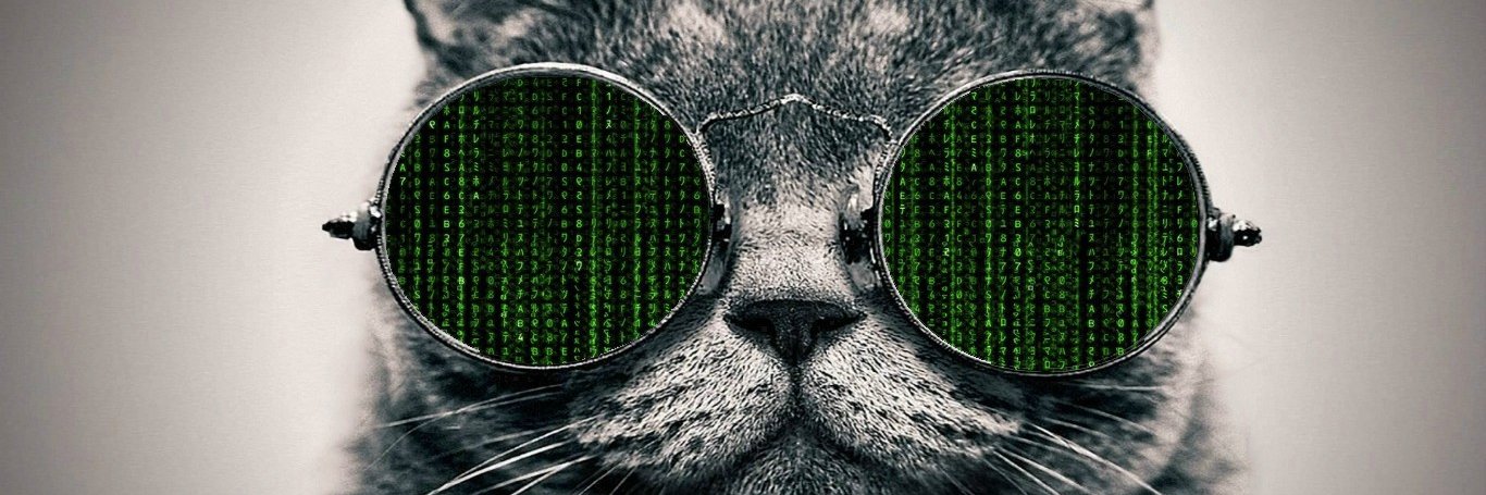 richistron's profile banner image