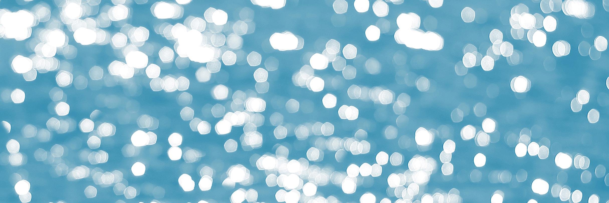 MeredithDittmar's profile banner image