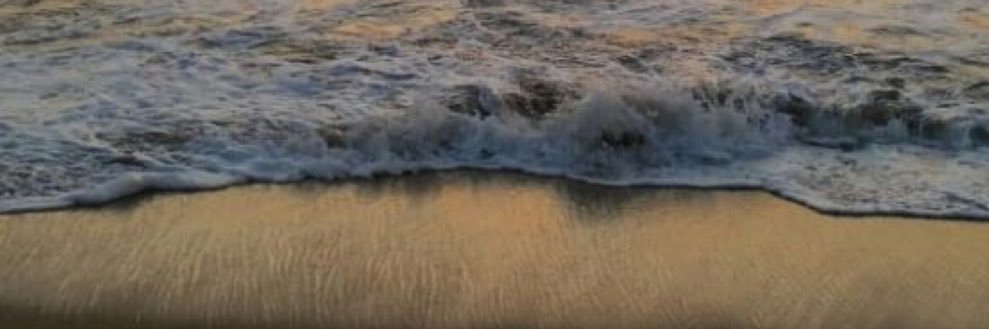 PLastropo's profile banner image