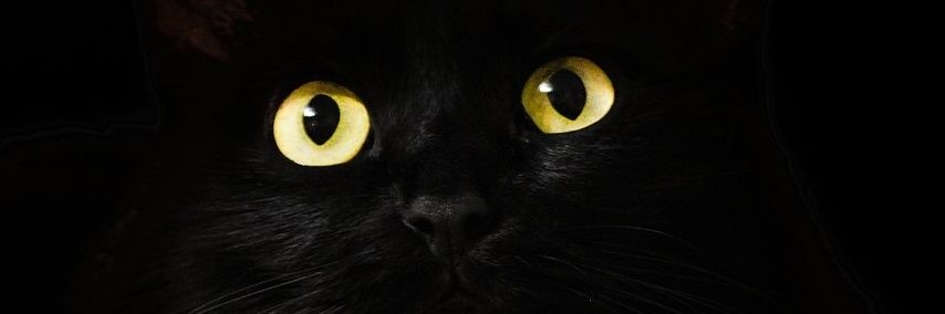 ms_me28's profile banner image