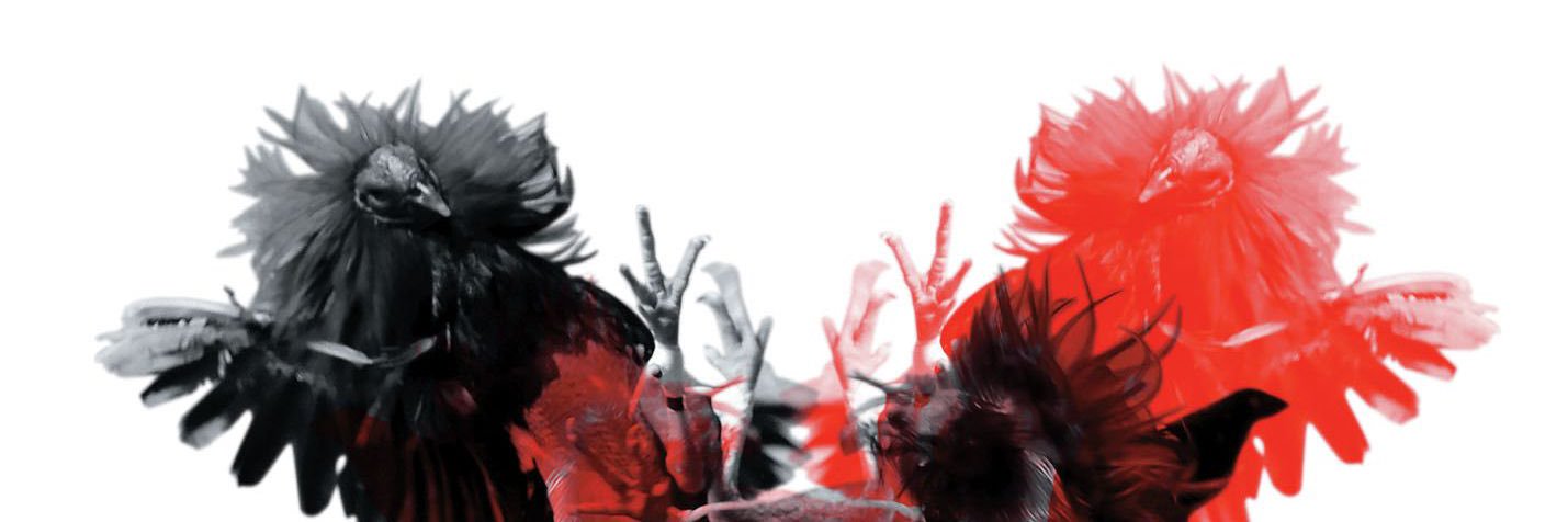 TecmoBeau's profile banner image