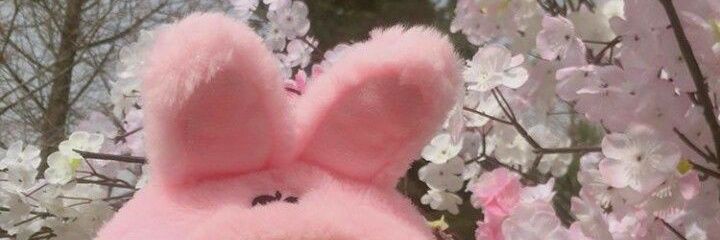เป็ด🌻🌈 banner