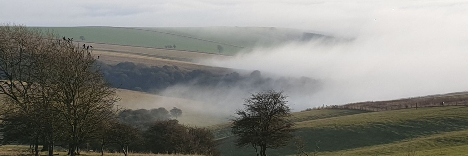 Boooo🎵deee🎵s banner