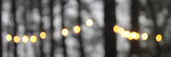 asdn___ Profile Banner