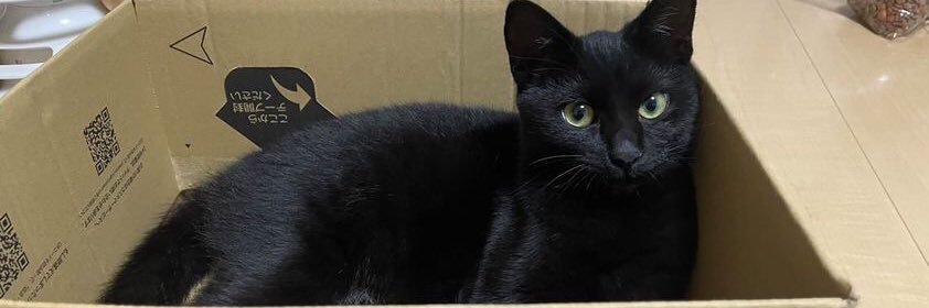 Kenta | ケトルベルの指導が得意な人 banner