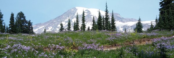 mapleveewesem Profile Banner