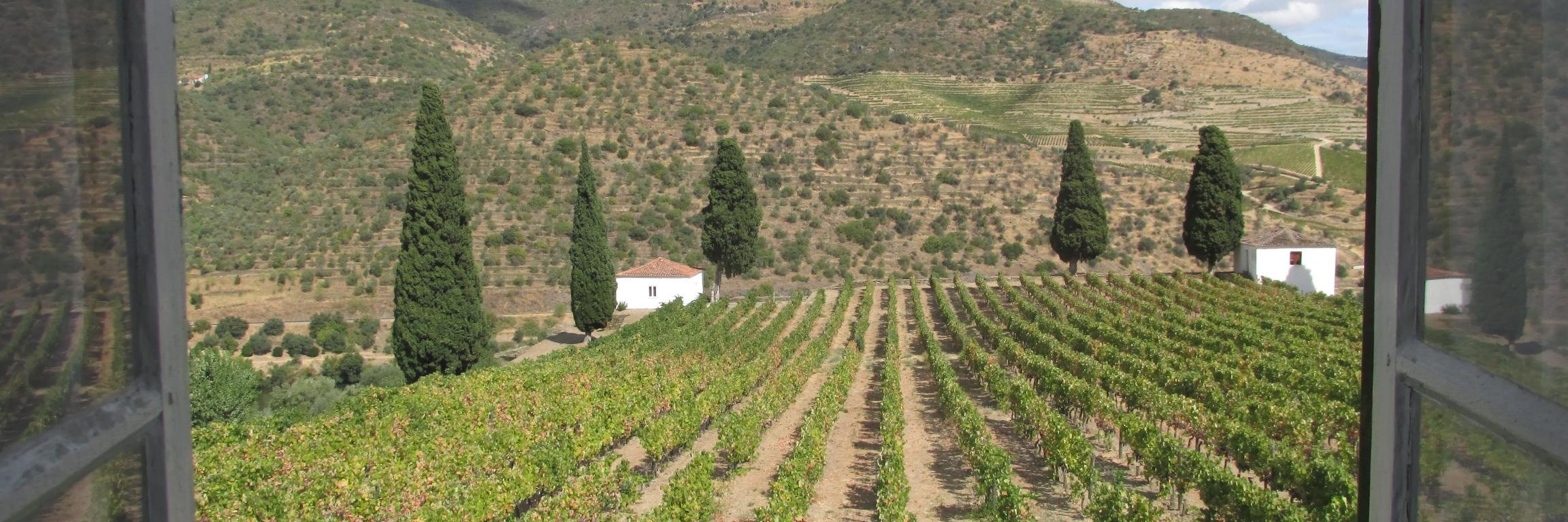 Stacy Slinkard banner