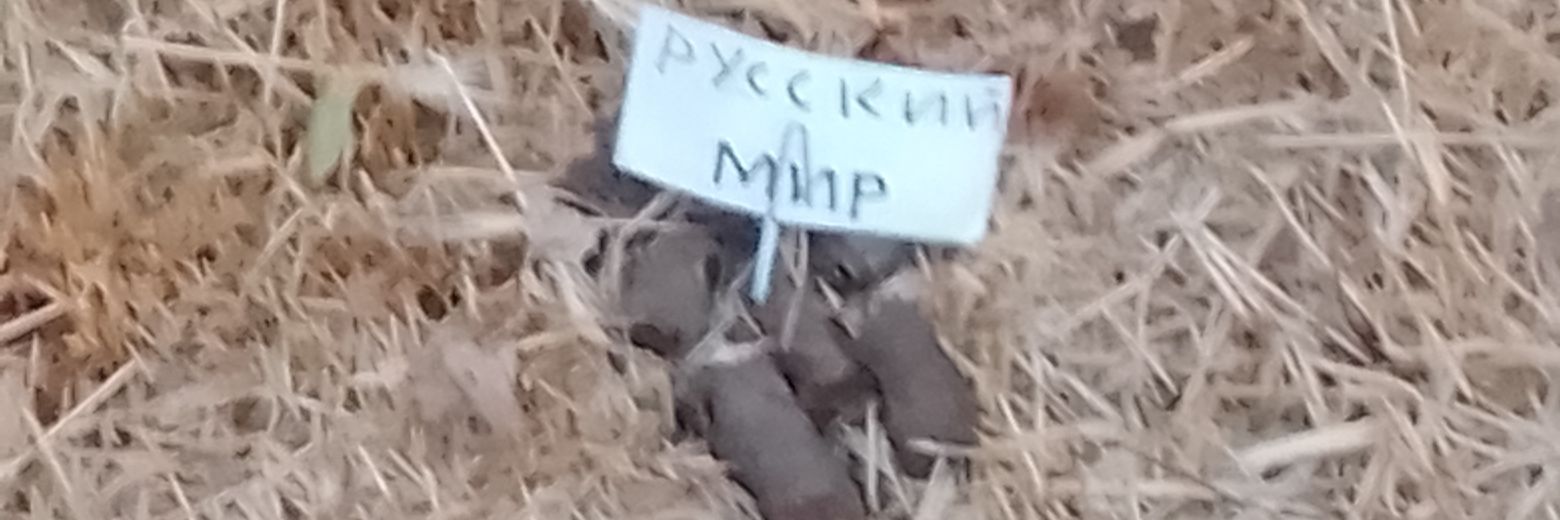 Денис banner