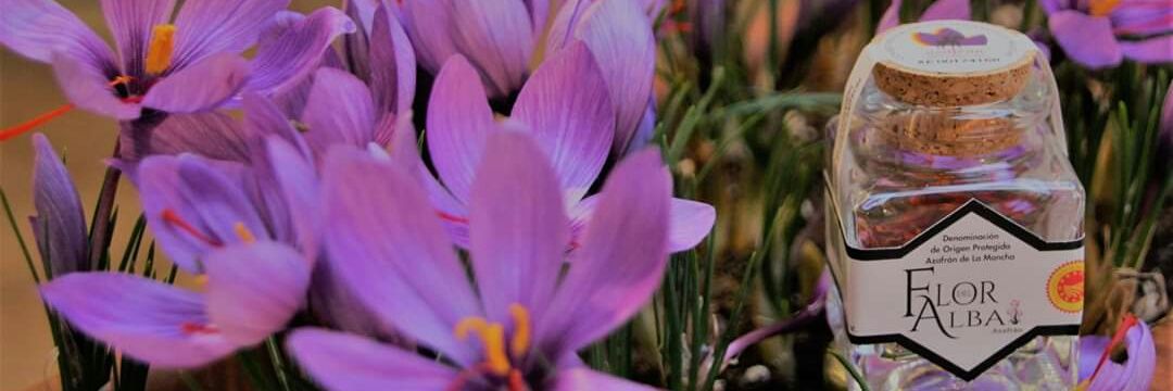 Flor del Alba AZAFRÁN banner