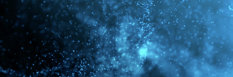 LT42 banner