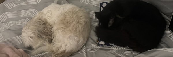 NutCoca Profile Banner