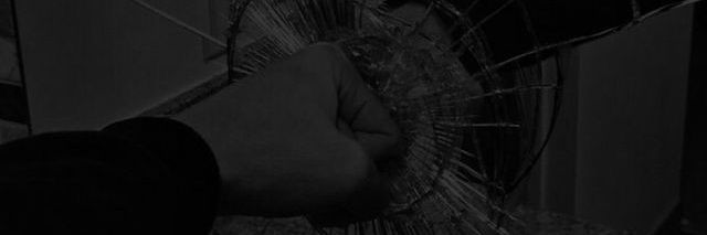 lambe0sauruss's profile banner image