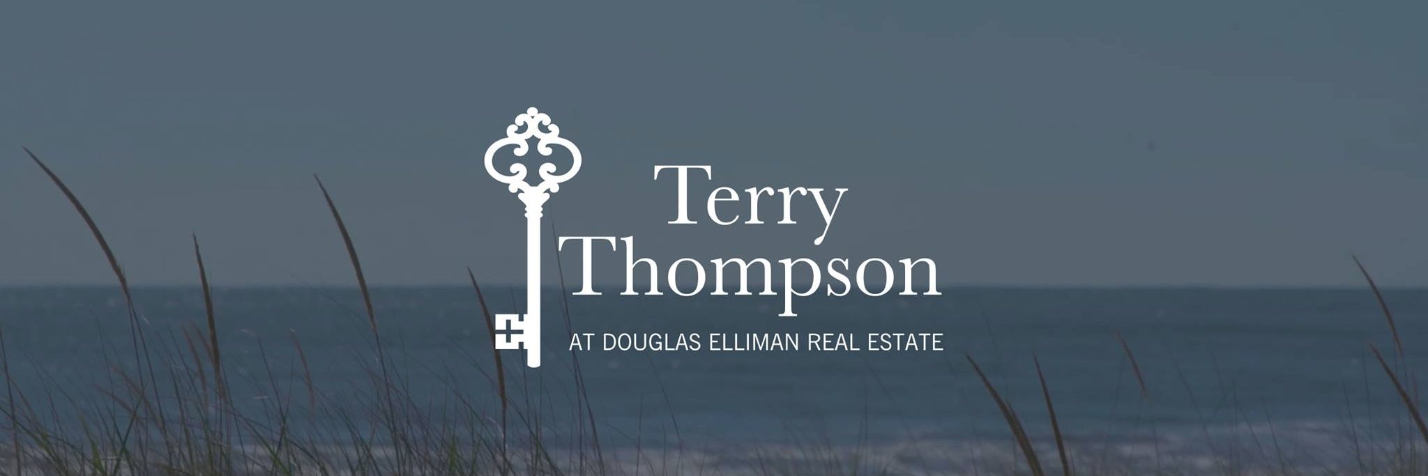TerryThompsonNY's profile banner image