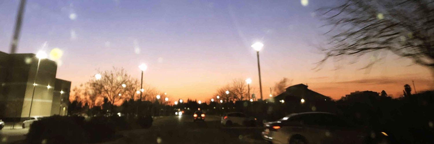 maddylucey's profile banner image