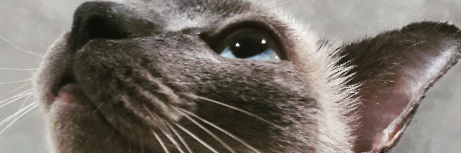 gqje_'s profile banner image