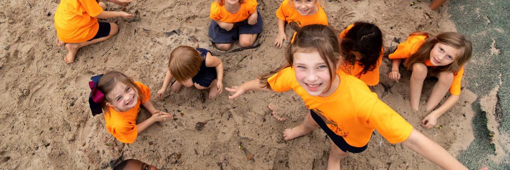 brflaimschool banner