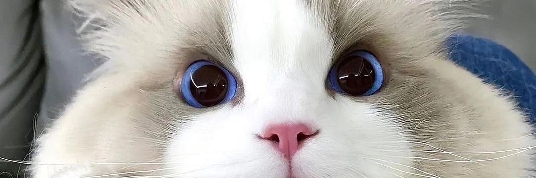 moojizzle's profile banner image