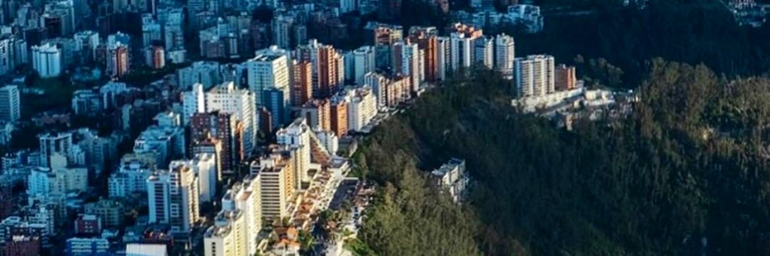 Pedro Rodriguez-Martinez banner