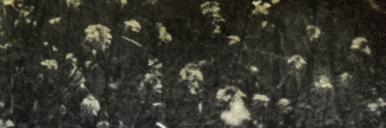HeyItsHector_'s profile banner image