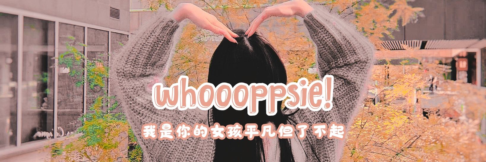 whoooppsie's profile banner image