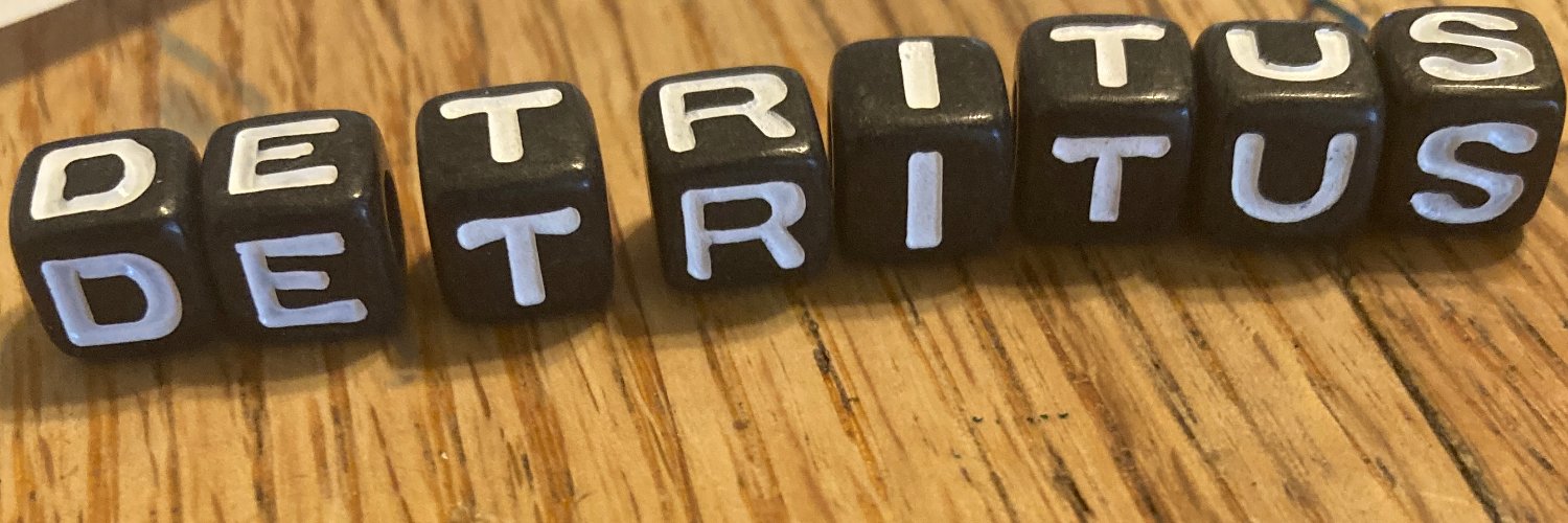 st33v “@detritus@todon.eu” hise banner