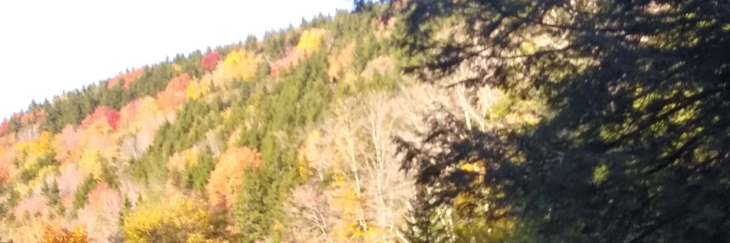 ksovine's profile banner image