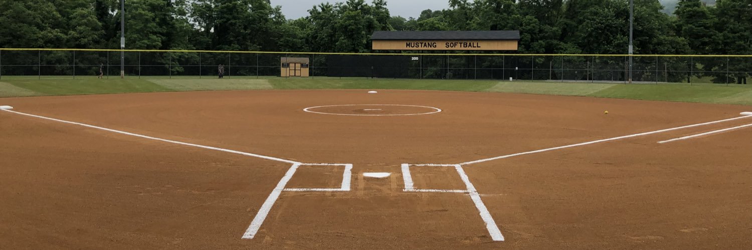 Monticello Mustangs Softball banner