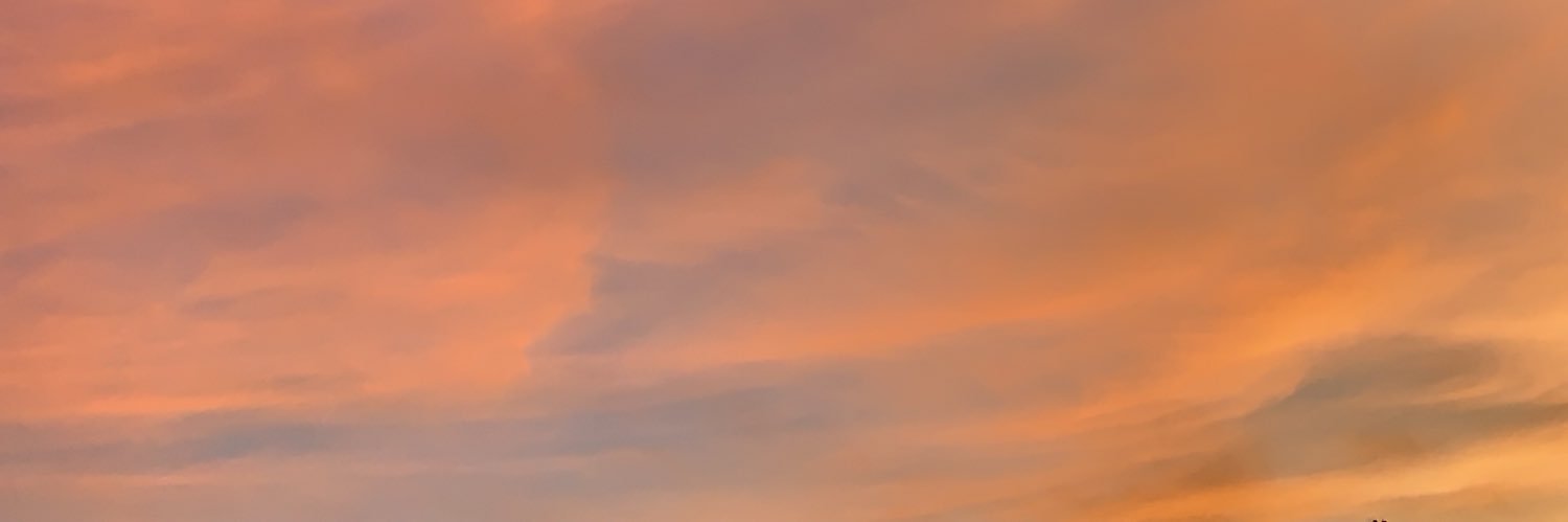 patienceely's profile banner image
