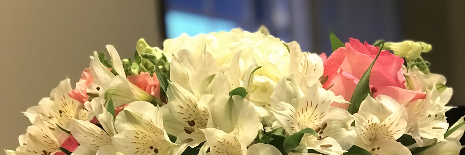 paolyce's profile banner image