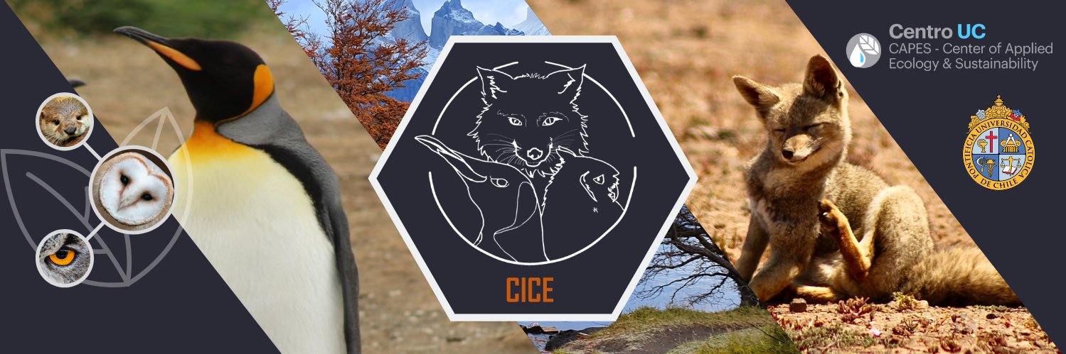 Centro de Investigación Científica Escolar banner