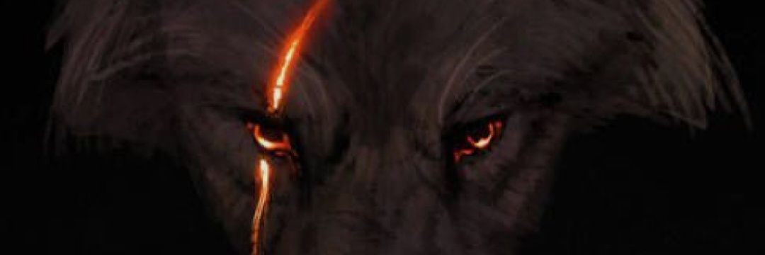 rio751vc's profile banner image