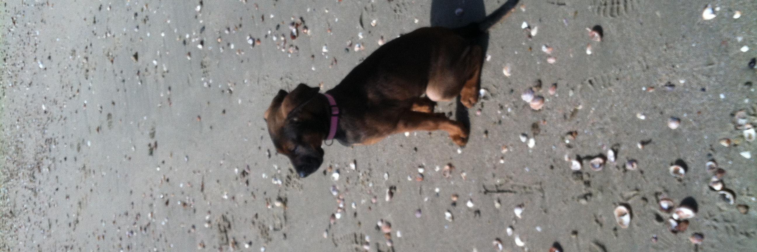 Patrick Ballinger banner