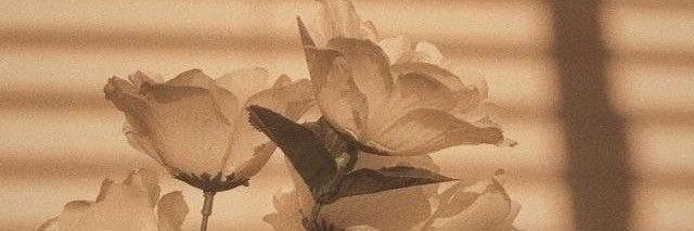 judeastri's profile banner image