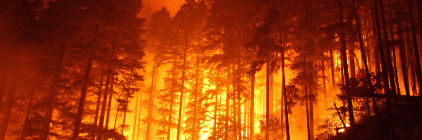 fireline_us's profile banner image