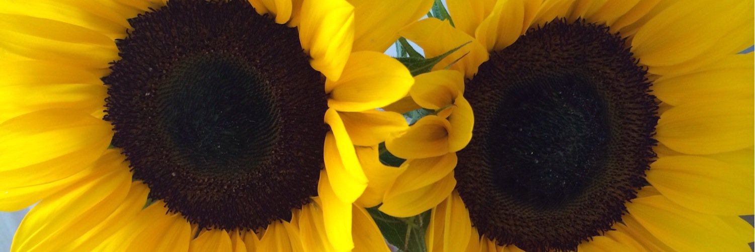 Debsyy16's profile banner image