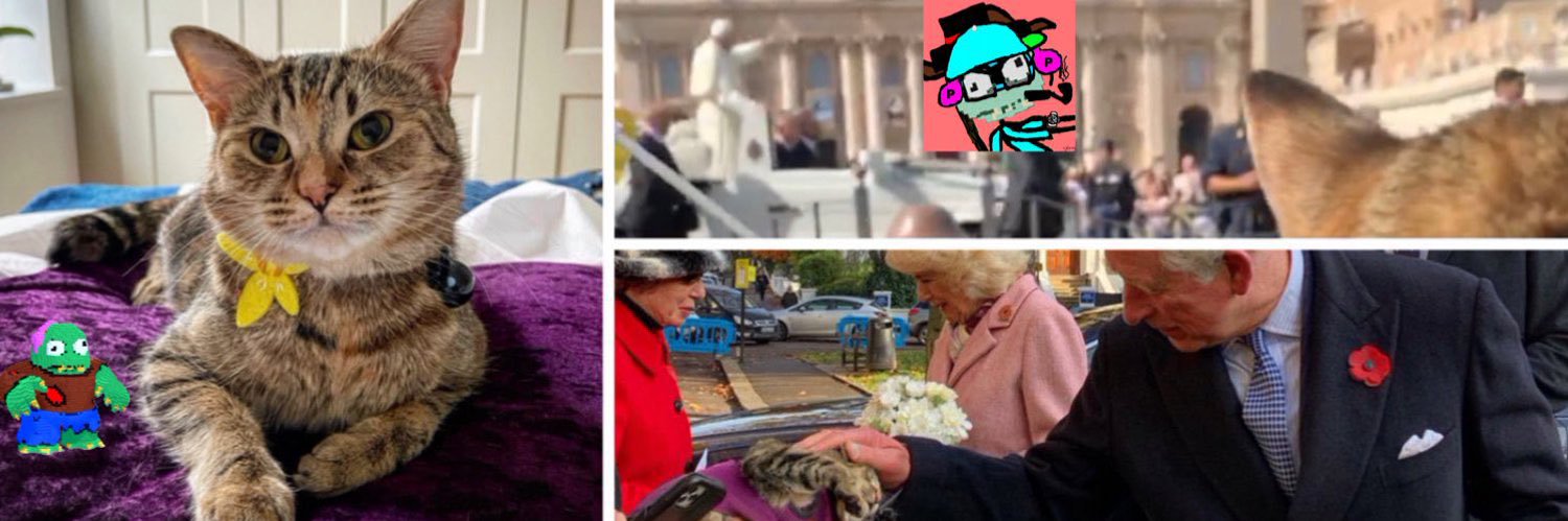 Quita the Kitty banner