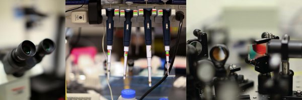 lab_poirier Profile Banner