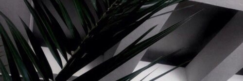 kaayleelopez's profile banner image