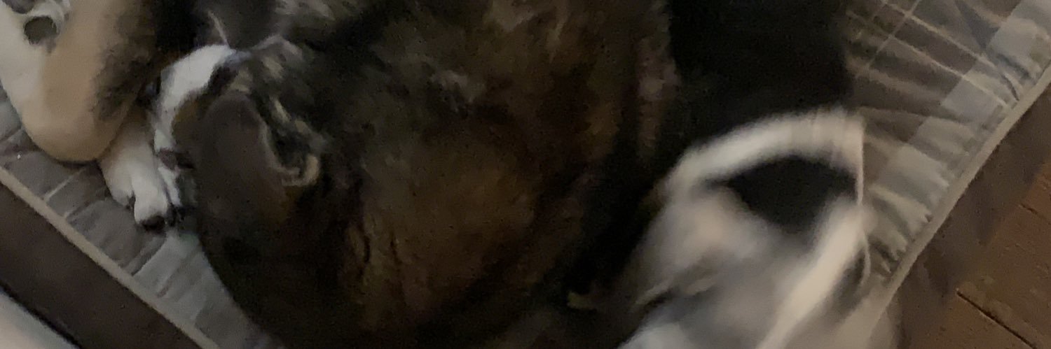 turkeybaster_69's profile banner image