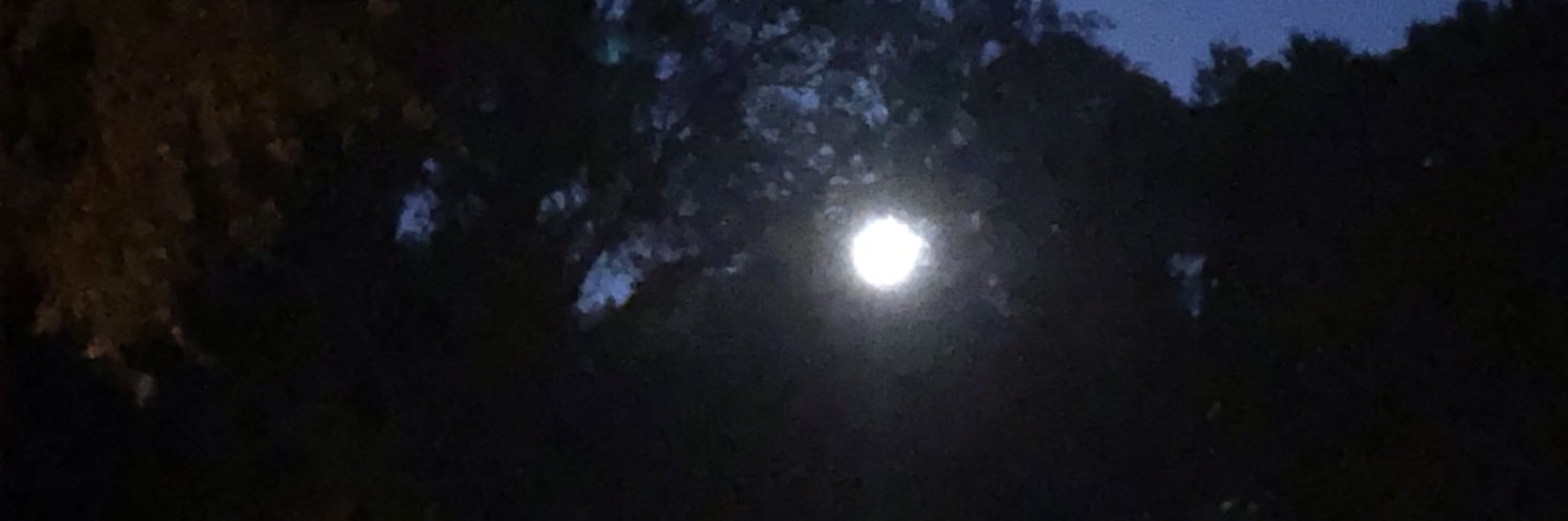 DangerMoon11's profile banner image