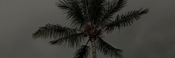 themis08_'s profile banner image