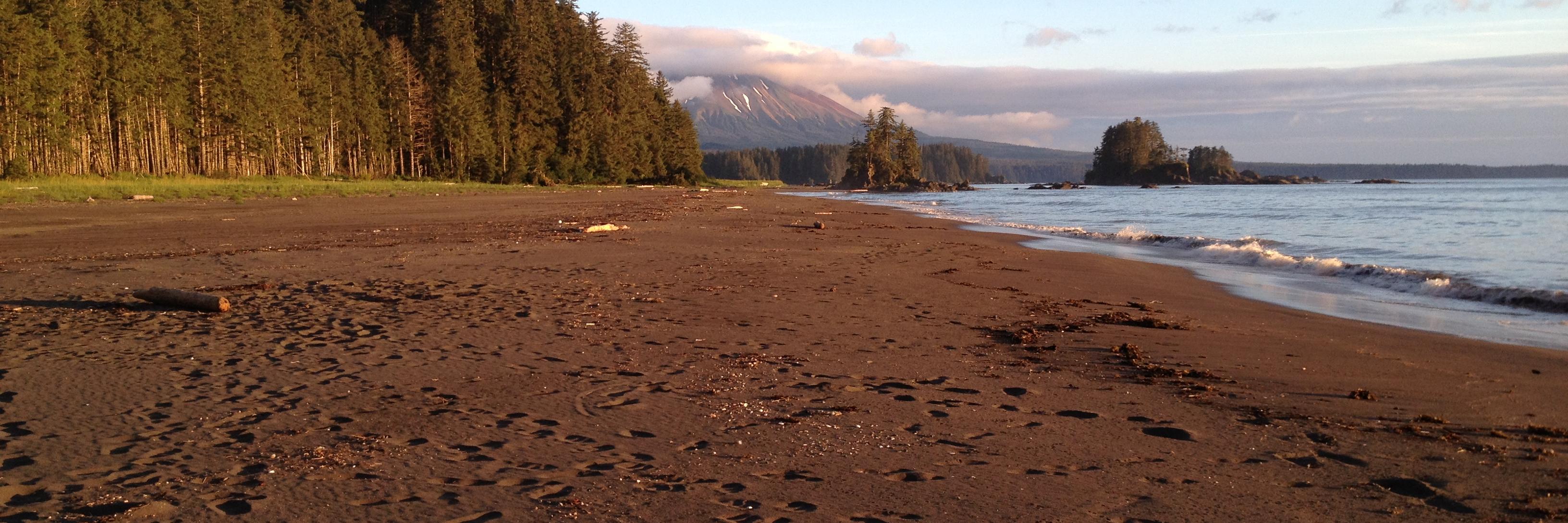 SitkaWriter's profile banner image