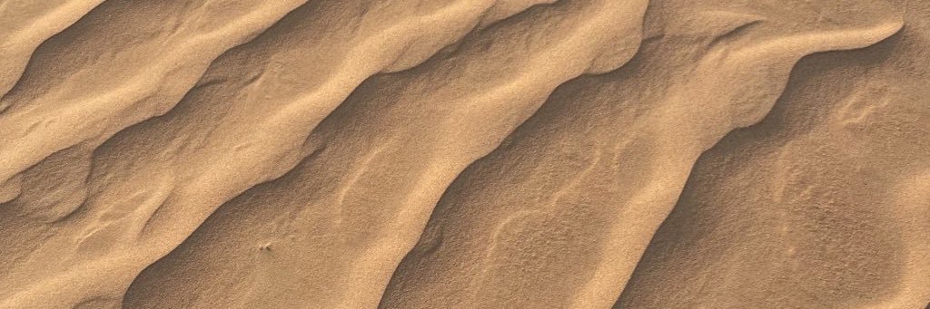 tender hearted banner