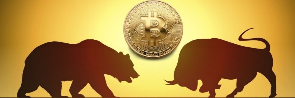Javier32329696's profile banner image