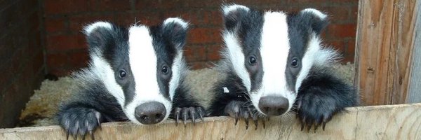 AnnaDekker Profile Banner