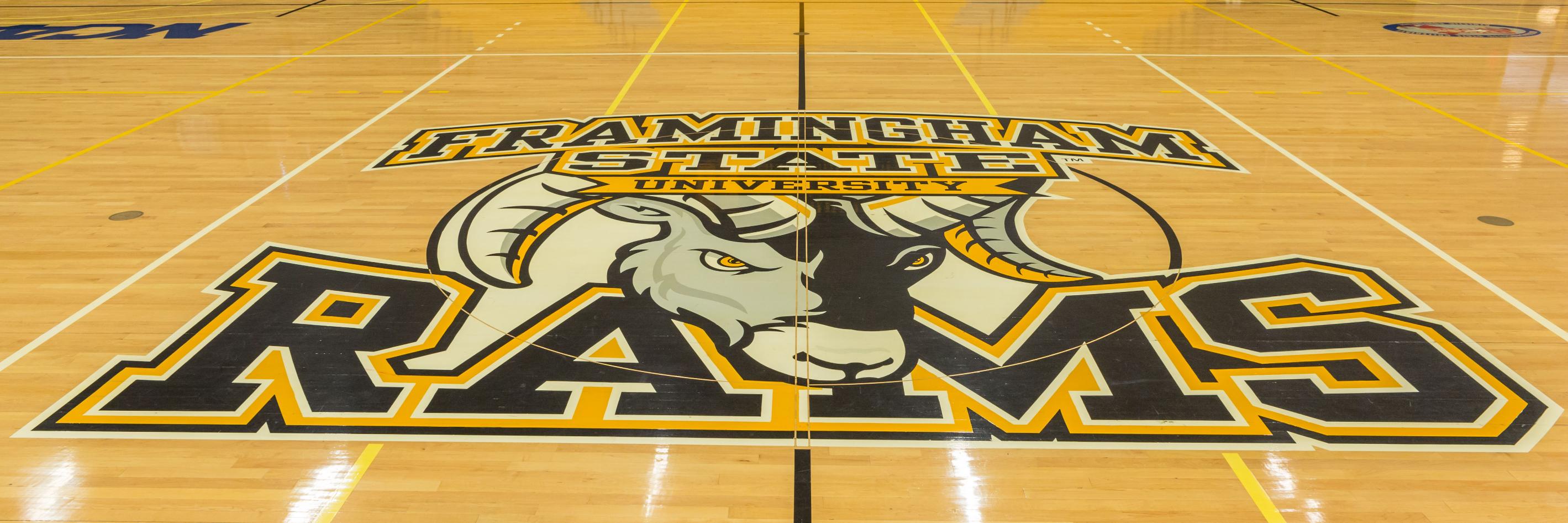 FSU Athletics banner