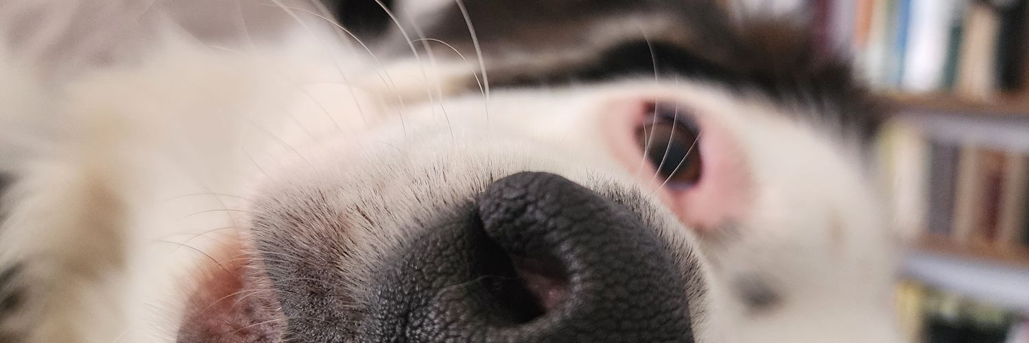 melly216's profile banner image